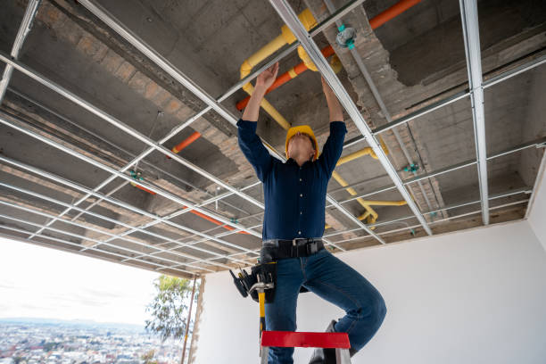 Best Plumbing Services Near Me  in White House, TN